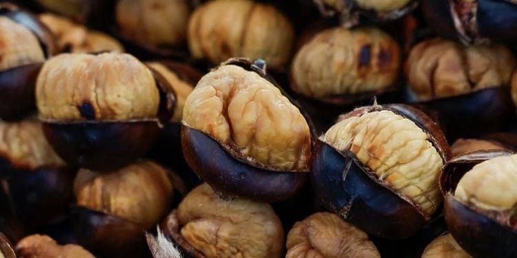 Mnogima omiljena sezonska poslastica: Pečene kestene možete napraviti i kod kuće
