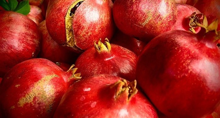 Hercegovački šipak: Jesenje čudo puno zdravlja