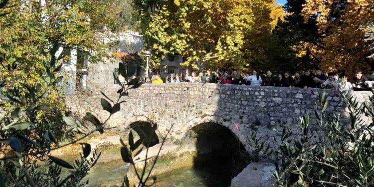 Učenici Prve osnovne škole Stolac bacanjem cvijeća sa stolačkih mostova obilježili godišnjicu rušenja Starog mosta