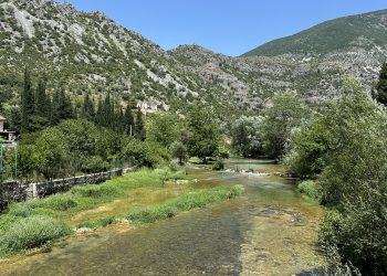 Danas se obilježava međunarodni Dan vlažnih staništa