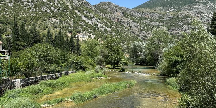 Danas se obilježava međunarodni Dan vlažnih staništa