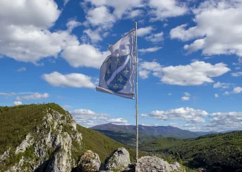 Šest zlatnih ljiljana: Na današnji dan prije 33 godine usvojena zastava i grb RBiH