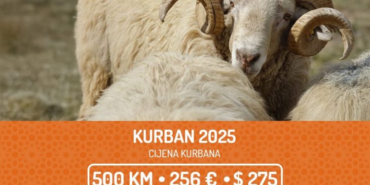 Pomozi.ba i ove godine organizuje akciju “Kurban 2025” – Prilika da učestvujete u dobru