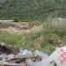 Upozorenje građana: Neformalna grupa „Badanj“ traži hitnu reakciju zbog ekološke prijetnje kod Badanj pećine