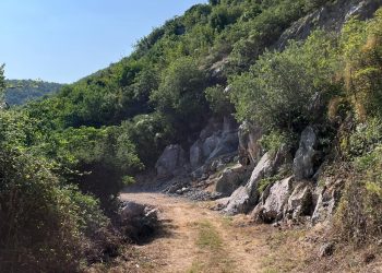Udruženje Concordia nastavlja akciju čišćenja puta prema pećini Badanj – završnica uz veče poezije