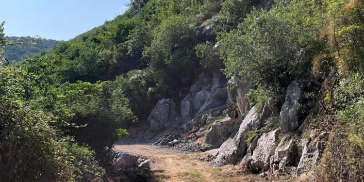 Udruženje Concordia nastavlja akciju čišćenja puta prema pećini Badanj – završnica uz veče poezije
