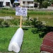UMJETNIČKI PERFORMANS ISPRED GRADSKE UPRAVE STOLAC: “PRAZAN TABUT – PUNA PORUKA