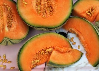 Pipun – prirodna infuzija zdravlja koju zaboravljamo jesti