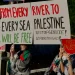 Od svake rijeke do svakog mora: BiH se pridružila globalnoj akciji za Palestinu