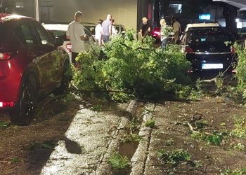 OLUJNO NEVRIJEME ZAHVATILO MOSTAR: VJETAR RUŠIO STABLA, GRANE PADALE NA VOZILA