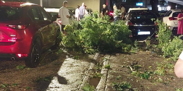 OLUJNO NEVRIJEME ZAHVATILO MOSTAR: VJETAR RUŠIO STABLA, GRANE PADALE NA VOZILA