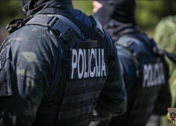 U toku akcija ‘Kavez’, očekuje se hapšenje više članova udruženja ‘Panter’
