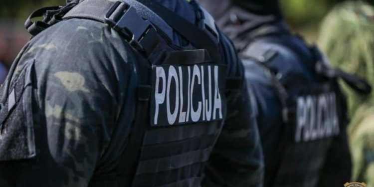 U toku akcija ‘Kavez’, očekuje se hapšenje više članova udruženja ‘Panter’