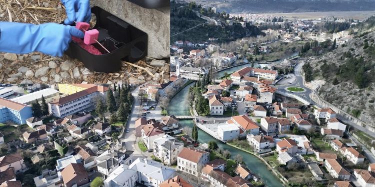 STOLAC: JESENJA DERATIZACIJA 7. NOVEMBRA – GRAĐANI POZVANI NA OPREZ