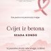 Stolac: Promocija knjige „Cvijet iz betona“ večeras u Tekiji