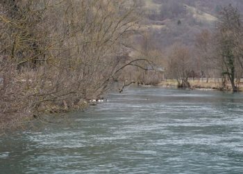 Izlijevanje Bregave potopilo poljoprivredne površine