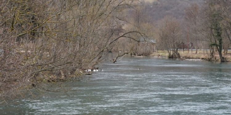 Izlijevanje Bregave potopilo poljoprivredne površine