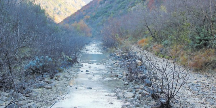 Stočanin koji stvara čuda:Primarijus dr. Hasan Vele jedan od najboljih pedijatara u Hercegovini, čovjek kojem uspijeva i ono što je nemoguće