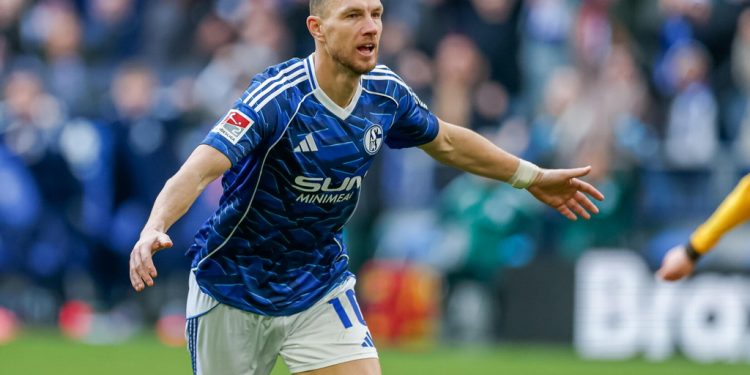 Džeko dvostruki strijelac za Schalke!