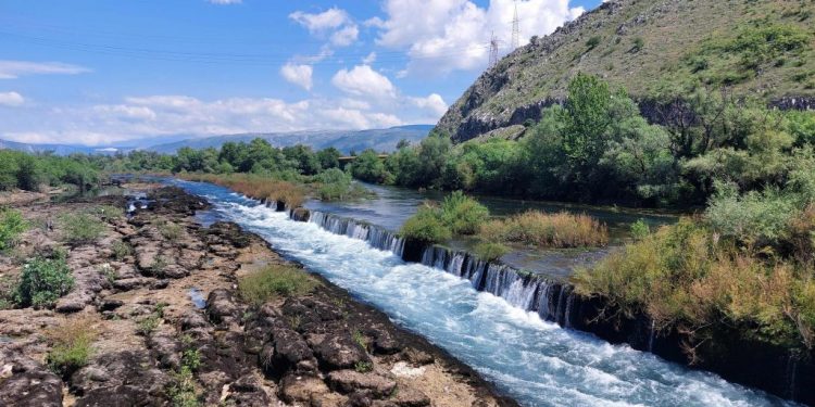DVADESET STRUČNJAKA KREĆE U TERENSKO ISTRAŽIVANJE BUNE I BUNICE