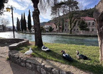 Danas sunčano, temperature do 19 stepeni