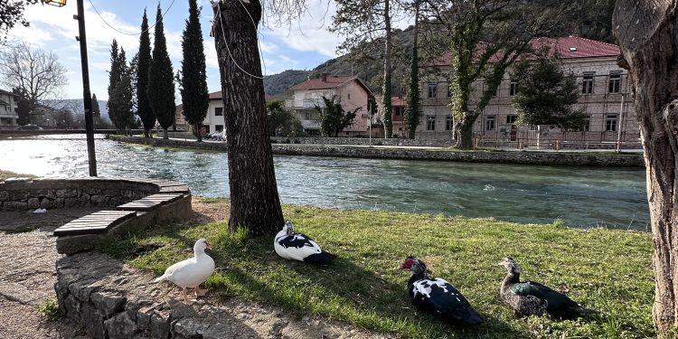 Danas sunčano, temperature do 19 stepeni