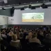 Film “Bosanski vitez” prikazan u Melbourneu: Potraga za odgovorima o vlastitom identitetu