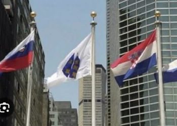 Istina o ljiljanima: Prva zastava međunarodno priznate Bosne i Hercegovine nije zastava Armije RBiH