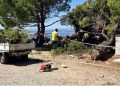 Drama na plaži u Hrvatskoj: Ogroman bor pao na kupače, među povrijeđenima dvoje djece