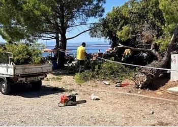 Drama na plaži u Hrvatskoj: Ogroman bor pao na kupače, među povrijeđenima dvoje djece