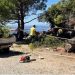 Drama na plaži u Hrvatskoj: Ogroman bor pao na kupače, među povrijeđenima dvoje djece