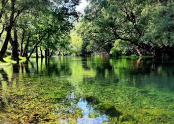 UDRUŽENJE SPORTSKIH RIBOLOVACA BREGAVA POZIVA NA ČIŠĆENJE RIJEKE: AKCIJA U SUBOTU OD DOLA DO GRADSKIH PLAŽA