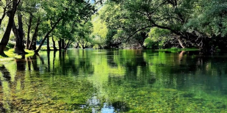 UDRUŽENJE SPORTSKIH RIBOLOVACA BREGAVA POZIVA NA ČIŠĆENJE RIJEKE: AKCIJA U SUBOTU OD DOLA DO GRADSKIH PLAŽA