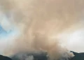 Veliki požar kod Konjica: Vatra zahvatila dio borove šume, postoji opasnost od brzog širenja